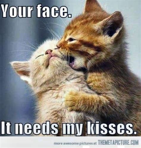 kissing meme|cute kiss meme.